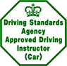 Driving Standards Agency Approved Driving Instructor (Car)